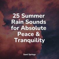 25 Summer Rain Sounds for Absolute Peace & Tranquility