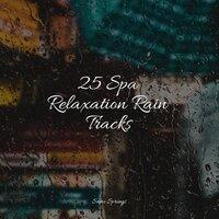 25 Spa Relaxation Rain Tracks