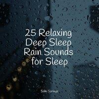 25 Relaxing Deep Sleep Rain Sounds for Sleep