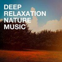 Deep Relaxation Nature Music