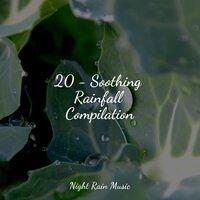 20 - Soothing Rainfall Compilation