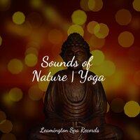 Sounds of Nature | Yoga