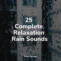 25 Complete Relaxation Rain Sounds