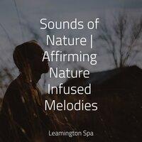 Sounds of Nature | Affirming Nature Infused Melodies