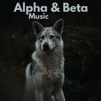 Alpha & Beta Music