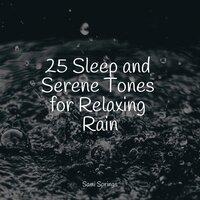 25 Sleep and Serene Tones for Relaxing Rain
