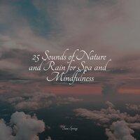 25 Sounds of Nature and Rain for Spa and Mindfulness
