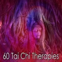 60 Tai Chi Therapies