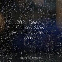2021: Deeply Calm & Slow Rain and Ocean Waves