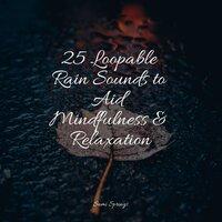 25 Loopable Rain Sounds to Aid Mindfulness & Relaxation