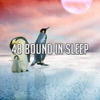 48 Bound in Sleep