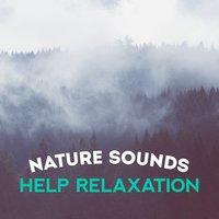 Nature Sounds Help Relaxation