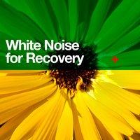White Noise for Recovery
