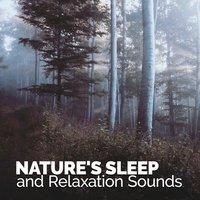 Nature's Sleep and Relaxation Sounds