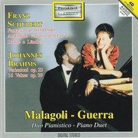 Franz Schubert: Fantasia in Fa minore, Op. 103: D 940: Tempo I