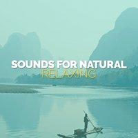Sounds for Natural Relaxing