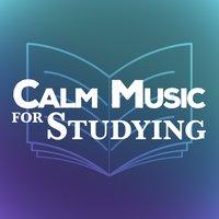 Спокойная музыка для учёбы
