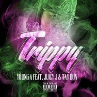 Trippy (feat. Juicy J & Tay Don)