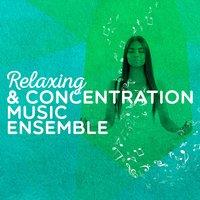 Relaxing & Concentration Music Ensemble