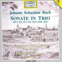 Johann Sebastian Bach: Sonate in Trio, BWV 525, 527, 529, 1037, 1038, 1039