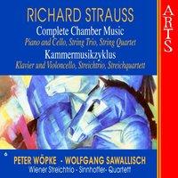 Strauss: Complete Chamber Music, Vol. 6