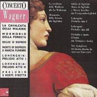 Wagner: Selection from Concerto No. 12