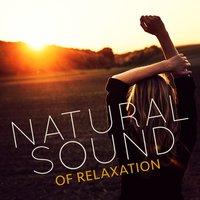 Natural Sound of Relaxation