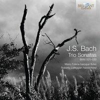 J.S. Bach: Trio Sonatas, BWV 525-530