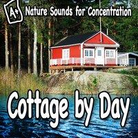Nature Sounds for Concentration – Cottage by Day