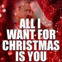 All I Want for Christmas Is You Ringtone