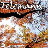 Telemann: Oboe Concerto in D minor
