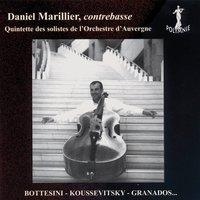 Daniel Marillier, contrebasse