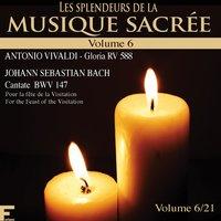 Les splendeurs de la musique sacrée, Vol. 6