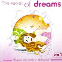The Secret Of Dreams Vol. 1