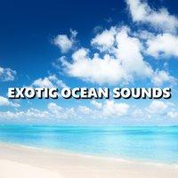 Exotic Ocean Sounds