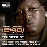 Function [feat. Problem; Young Jeezy; Chris Brown; French Montana; Red Café]
