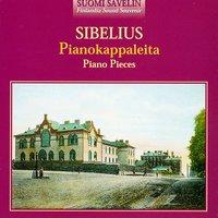 Sibelius: 5 Pieces, Op. 75: I. When the Rowan blossoms