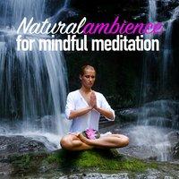 Natural Ambience for Mindful Meditation