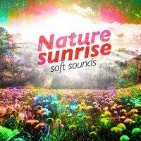 Nature Sunrise: Soft Sounds