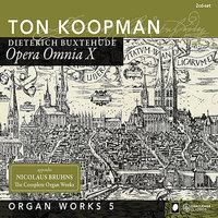 Organ Works V - Buxtehude: Opera Omnia X