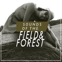 Sounds of the Field and Forest