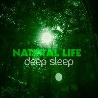 Natural Life: Deep Sleep