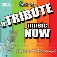 A Tribute Music Now: The Best Of... Steve Winwood