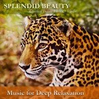 Splendid Beauty: Classical Indian Flute & Violin