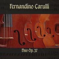 Fernandino Carulli: Duo Op. 37