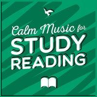 Calm Music for Study Reading