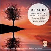 Adagio - Musik der Ruhe / Music of Silence