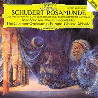 Schubert: Music for "Rosamunde"