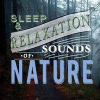 Sleep and Relaxation Sounds of Nature