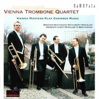 Vienna Masters Play Chamber Music